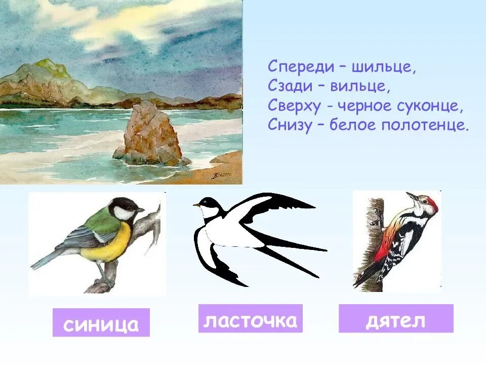 Загадки про птиц 4 года. Загадки про перелетных птиц. Загадки про перелетных птиц для детей. Загадки о пьицах перельнвх. Загадки про весенних птиц.