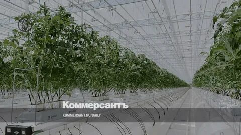 Эко ставропольский край