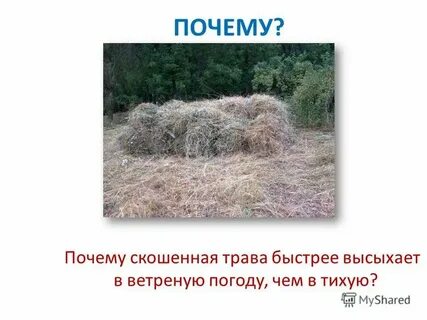Количество скошенного