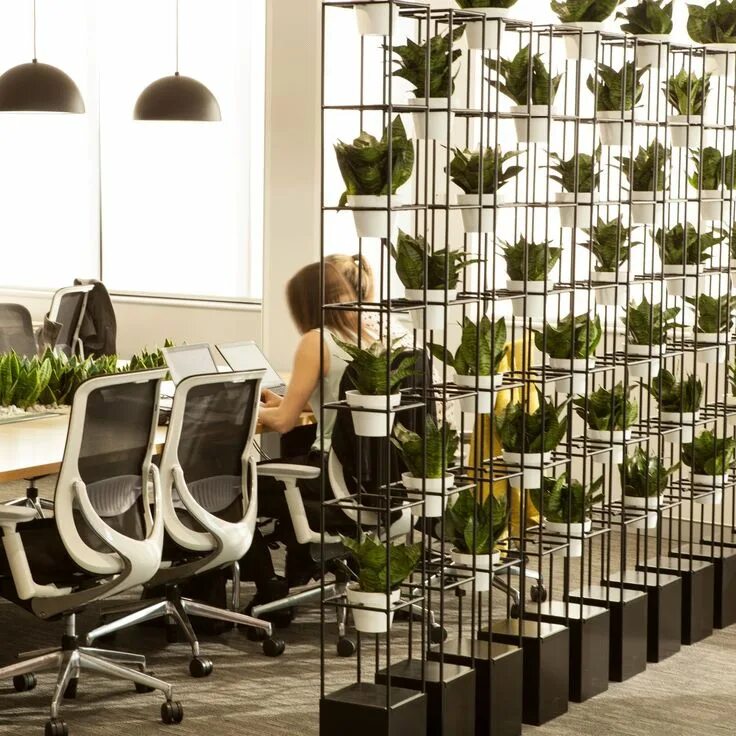 Растения в интерьере офиса. Озеленение офиса. Офисные цветы. Живые растения в офис. Space plants