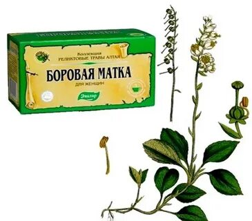 Травы для выкидыша на ранних