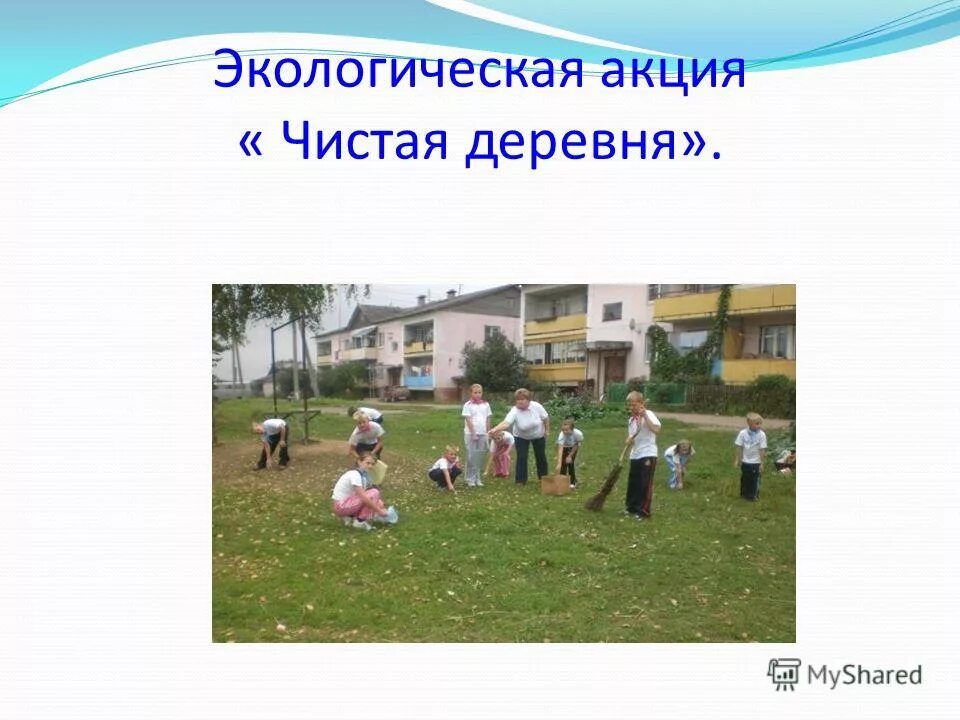 в россии разработана экопросветительская онлайн-программа. школьные экологические проекты. образование вч экологии. экологический практикум для школьников. программы экологические школьников.