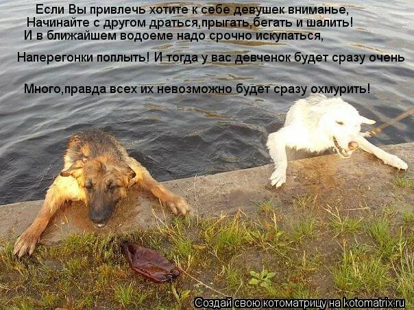 Неделя до отпуска. Фрилансер прикол. Шла вторая неделя отпуска. Неделя отпуска прошла. Неделя отпуска прошла.