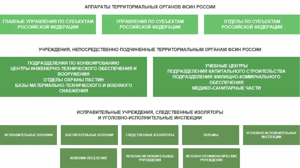 Принципы уис. Организационная структура фсин рф схема. структура территориального органа фсин россии схема. структура органов уис. структура территориальных органов фсин.