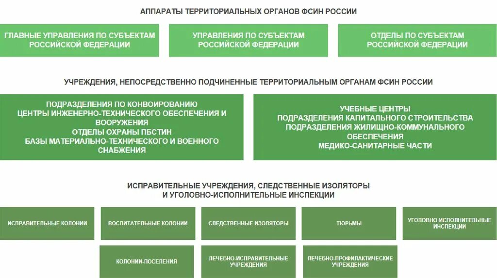 Отдел исправительного учреждения. Структура территориального органа ФСИН России схема. Структура органов УИС. Органы и учреждения ФСИН. Структура территориальных органов ФСИН.