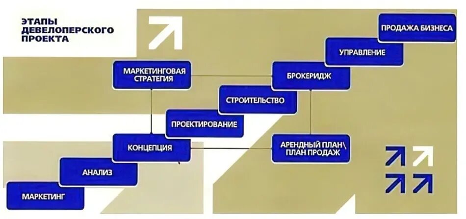 Девелопер проекта. Стадии девелоперского проекта. Девелоперский проект этапы. Стадии реализации девелоперского проекта. Стадии управления девелоперским проектом..