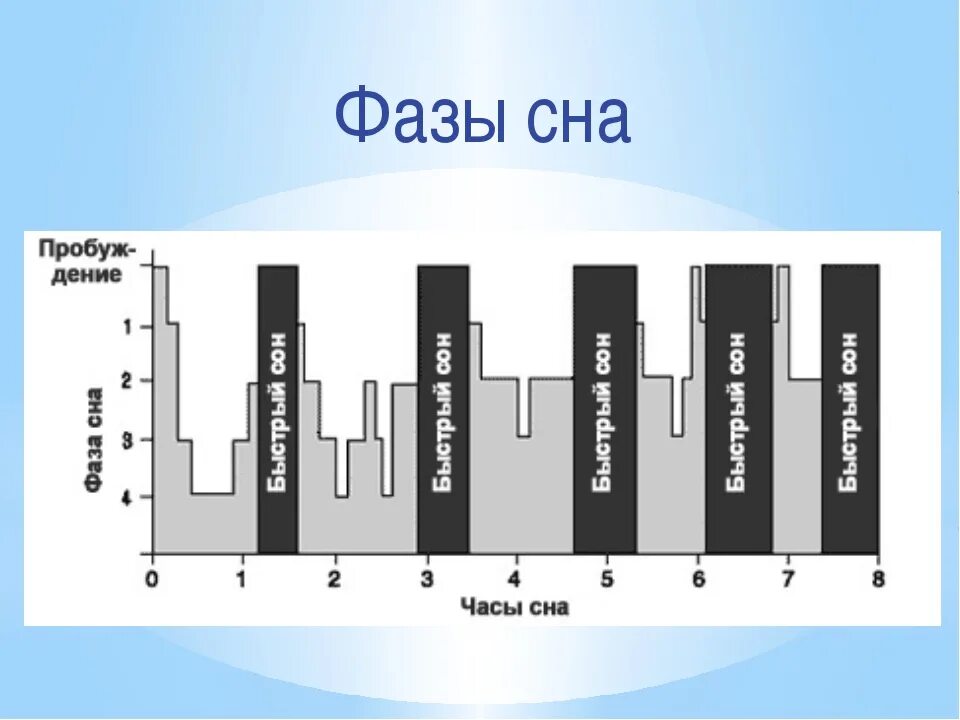 Фазы пробуждения. Фазы сна схема. Фазы сна человека диаграмма. Схема стадий сна. Сон фазы сна схема.