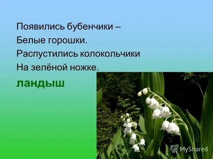 Горошки на зеленой ножке загадка