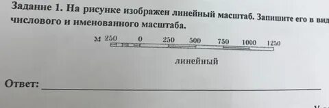 Изобразите ее в выбранном вами масштабе