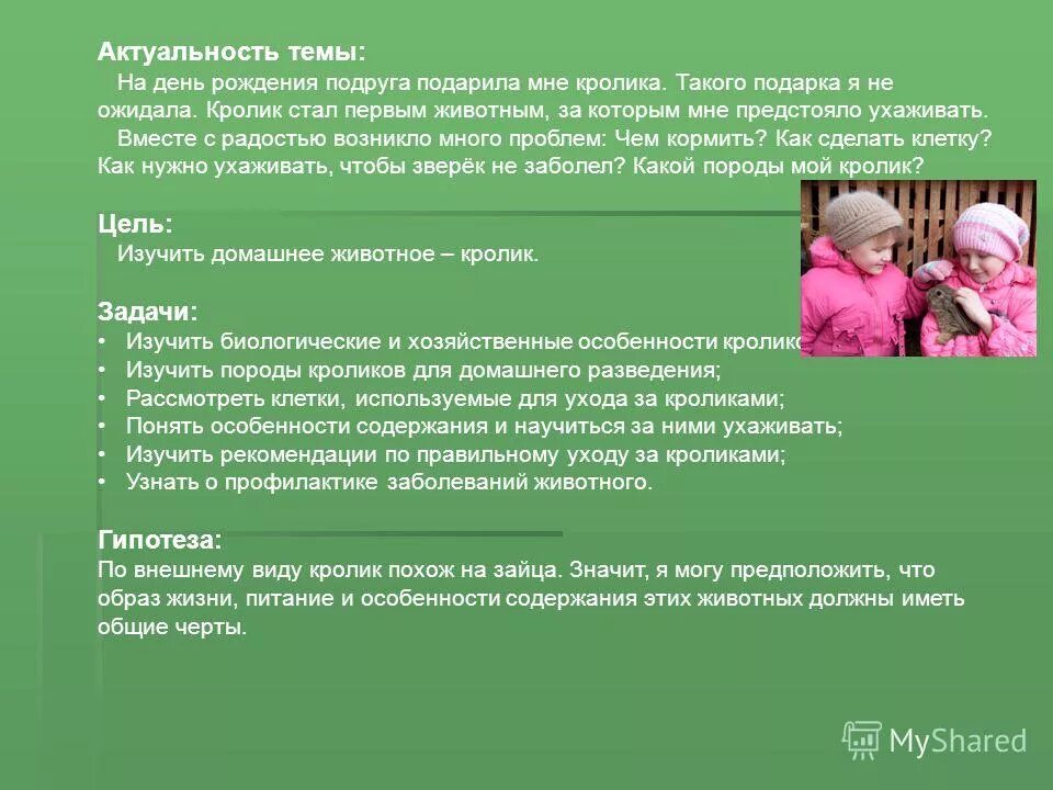 Описание особенности содержания. Актуальность проекта про кролика. Цели проектной работы о кроликах. Содержание особенности. Мой домашний любимец актуальность темы.