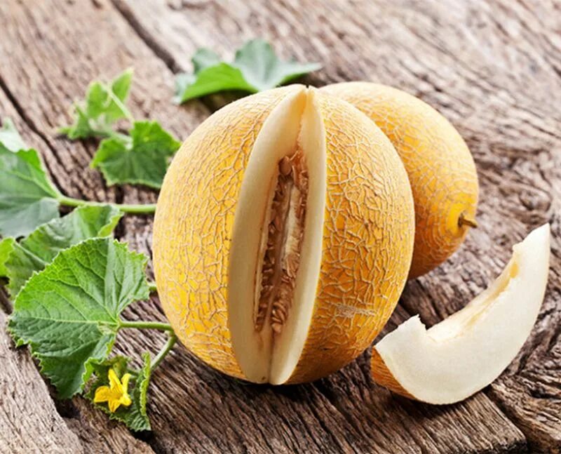 Дыня гуляби зеленая. Дыня колхозница на белом фоне. Е дыни. Мирзачульские дыни. Дыня тропикана.