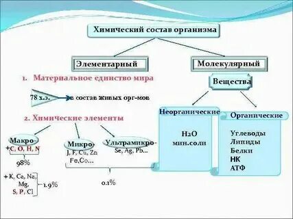 Сходный химический состав клеток всех живых организмов