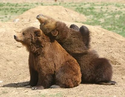 Co ours