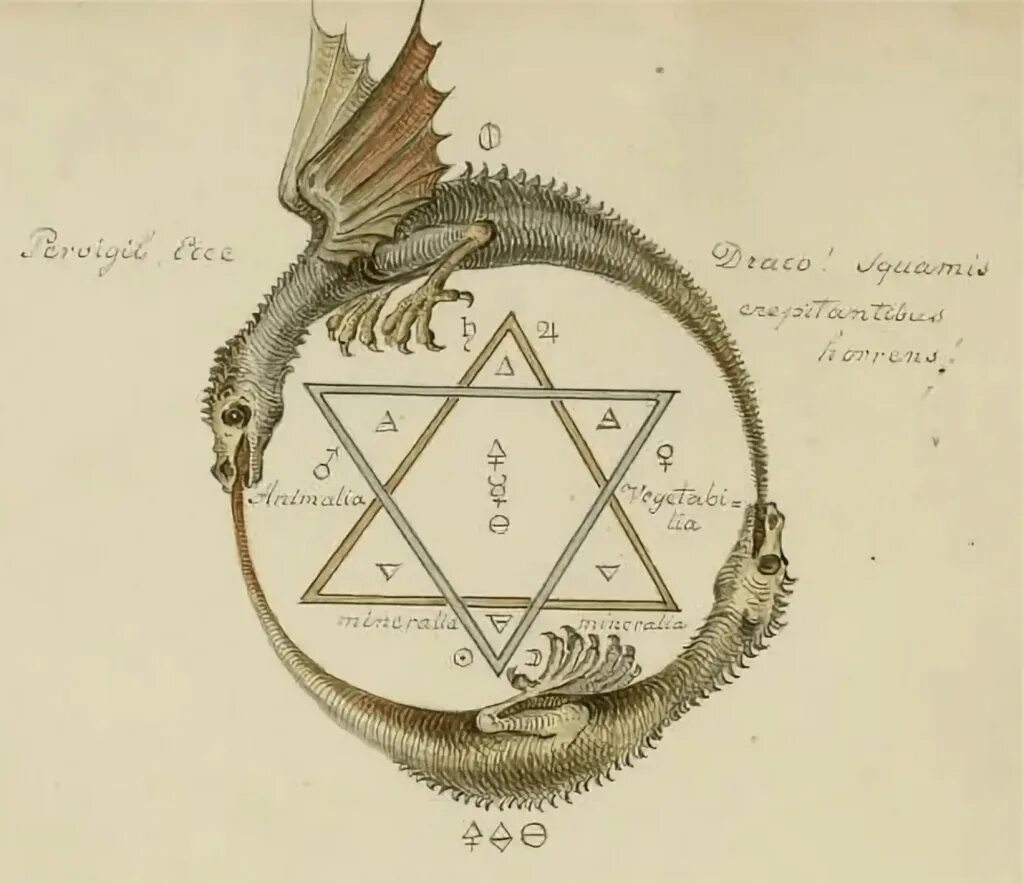 Уроборос древний оккультный символ. Уроборос Алхимия символы. Уроборос Алхимия звезда Давида. Уроборос Масонский символ.