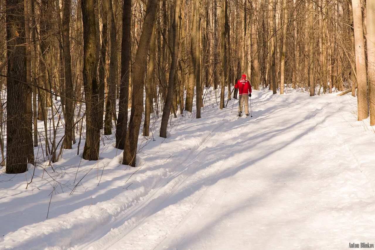 парк сокольники лыжная трасса. парк фили лыжня. парк фили лыжи. парк фили лыжная трасса. парк фили.