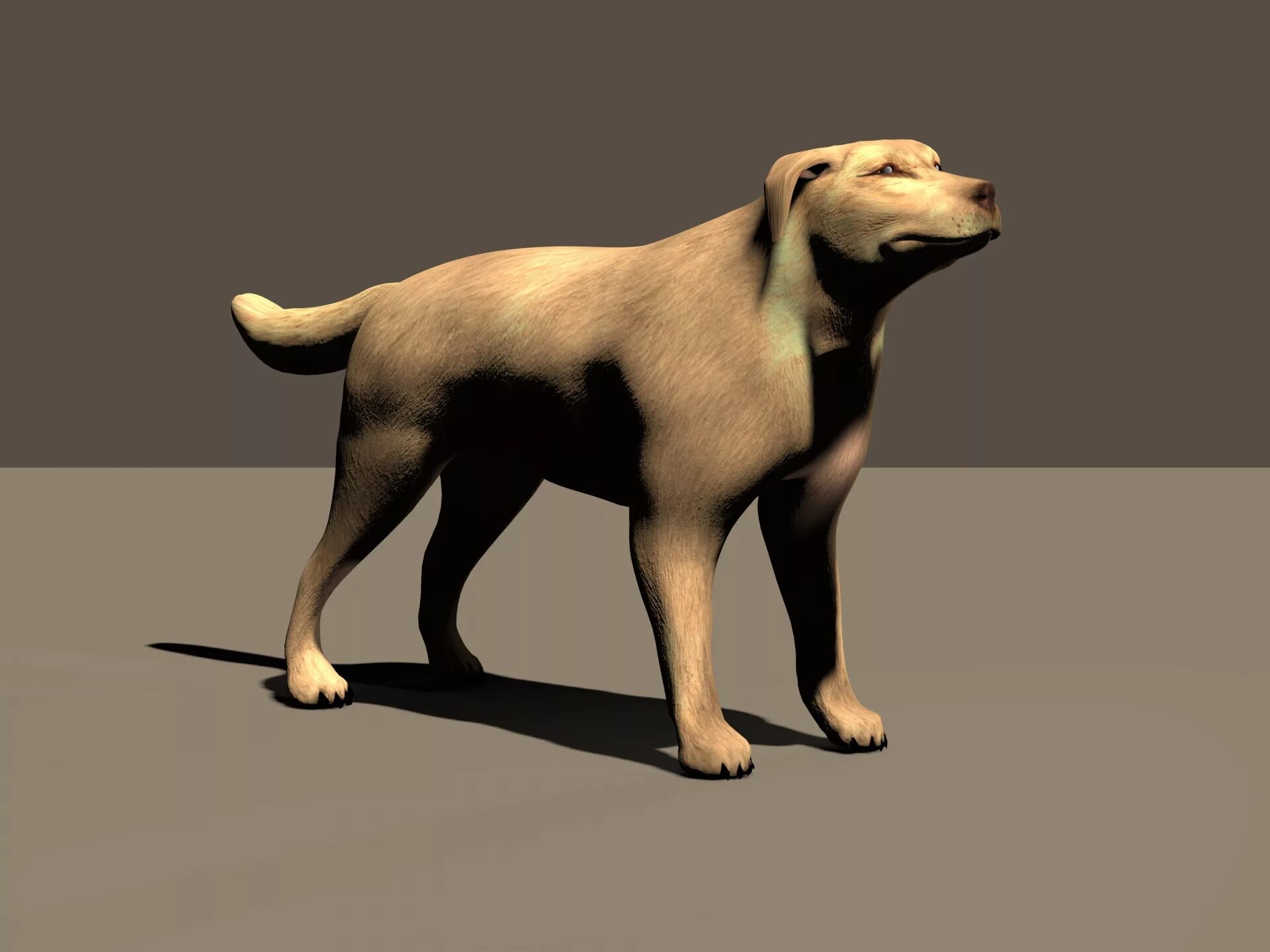 Собака 3d. 3d модель собаки. 3д пес. Смешная собака 3д.