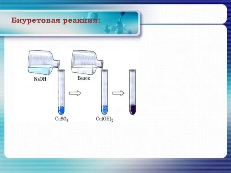 Cuso4 naoh осадок. Схема реакции биурета с гидроксидом меди 2. Биуретовая реакция химизм реакции. Реакция биурета с сульфатом меди 2. Биуретовая реакция белок +гидроксид меди.