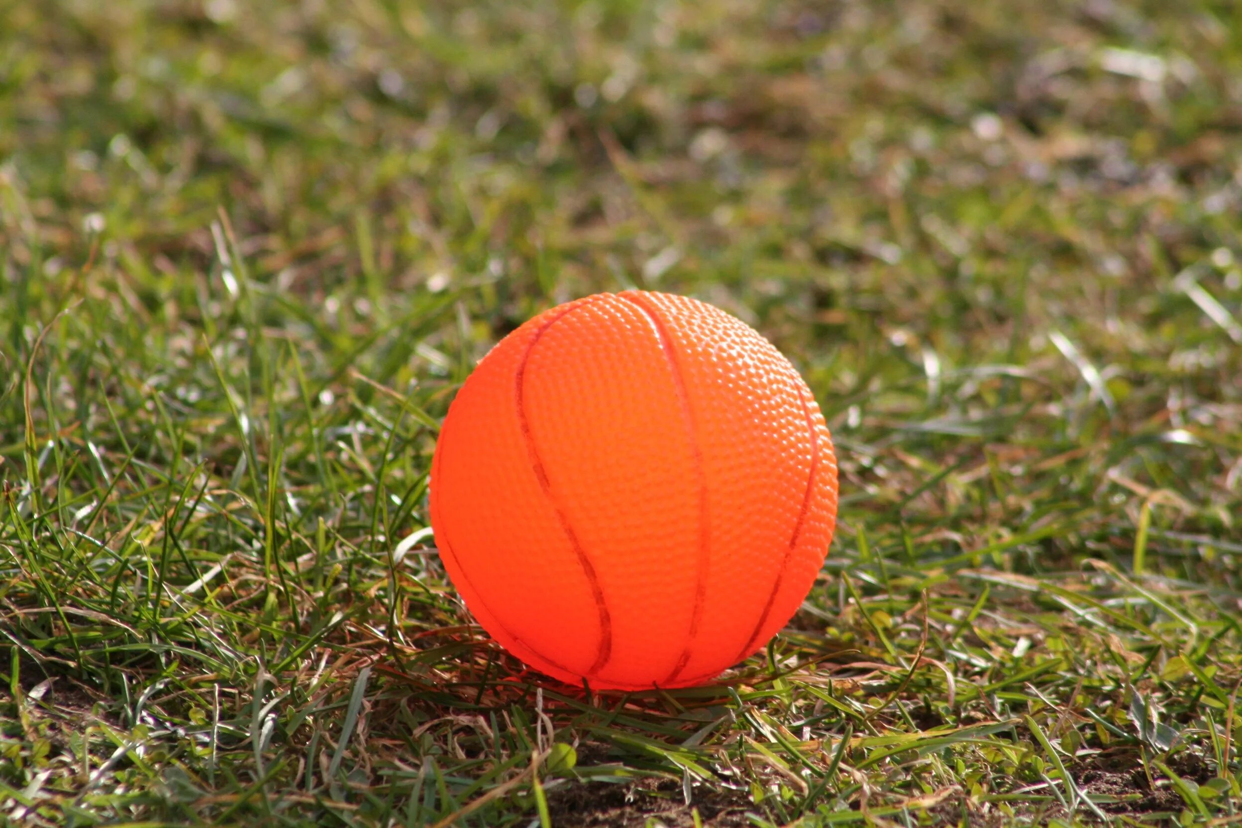 Мяч. Мячик. Оранжевый мячик. Мячик на траве. Мячик цветной оранжевый.