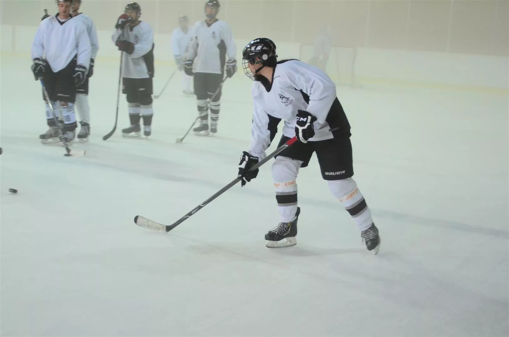 хобби хоккей. хоккей мое любимое занятие. увлечение хоккеем. александр рысев хоккеист. суровый бой ведет ледовая дружина.