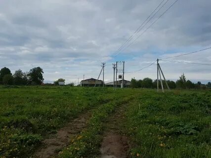 Деревня шаховское