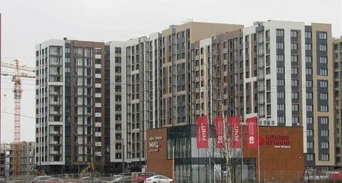 Эко бунино самолет