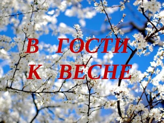 Сценарий в гости к весне. Презентация в гости к весне. В гости к весне надпись. Весенние гости. Картинки в гости к весне.