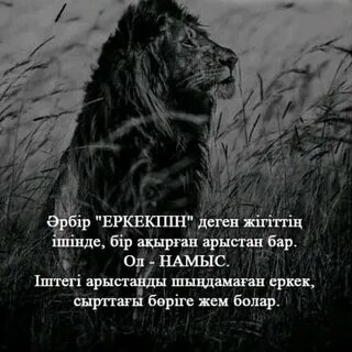 Мен порнодан көрмеген нәрсе