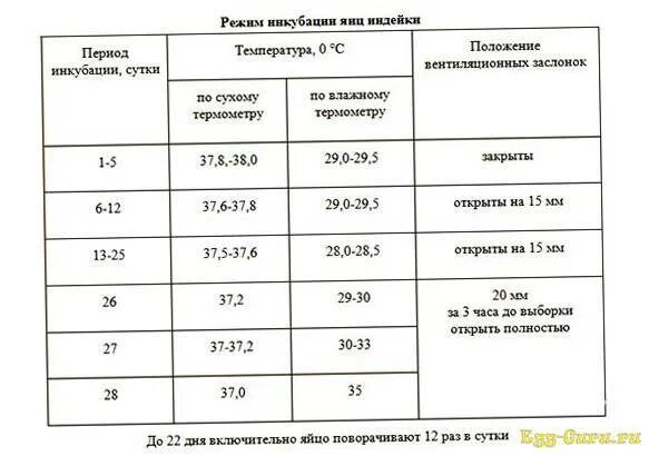 Таблица температуры инкубации куриных яиц по дням. Таблица выведения индюшат в инкубаторе. Режим инкубации куриных яиц таблица. Инкубация куриных яиц таблица температура. Таблица вывода цыплят в инкубаторе Несушка.