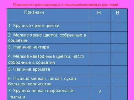 Признаки ветроопыляемых растений