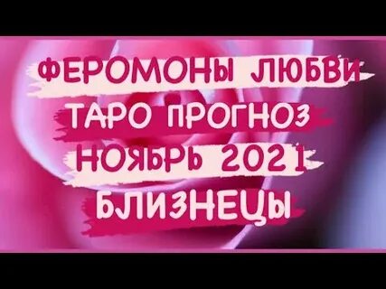 Феромоны любви песня