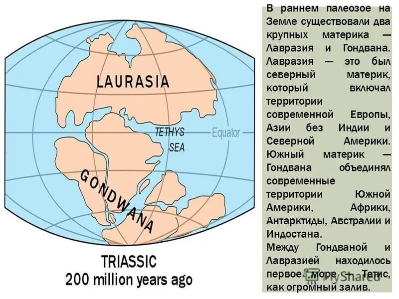Древний материк гондвана. Какой материк является частью древнего континента гондвана. Древние материки пангея лавразия гондвана. Пангея лавразия схема. Пангея гондвана лавразия.