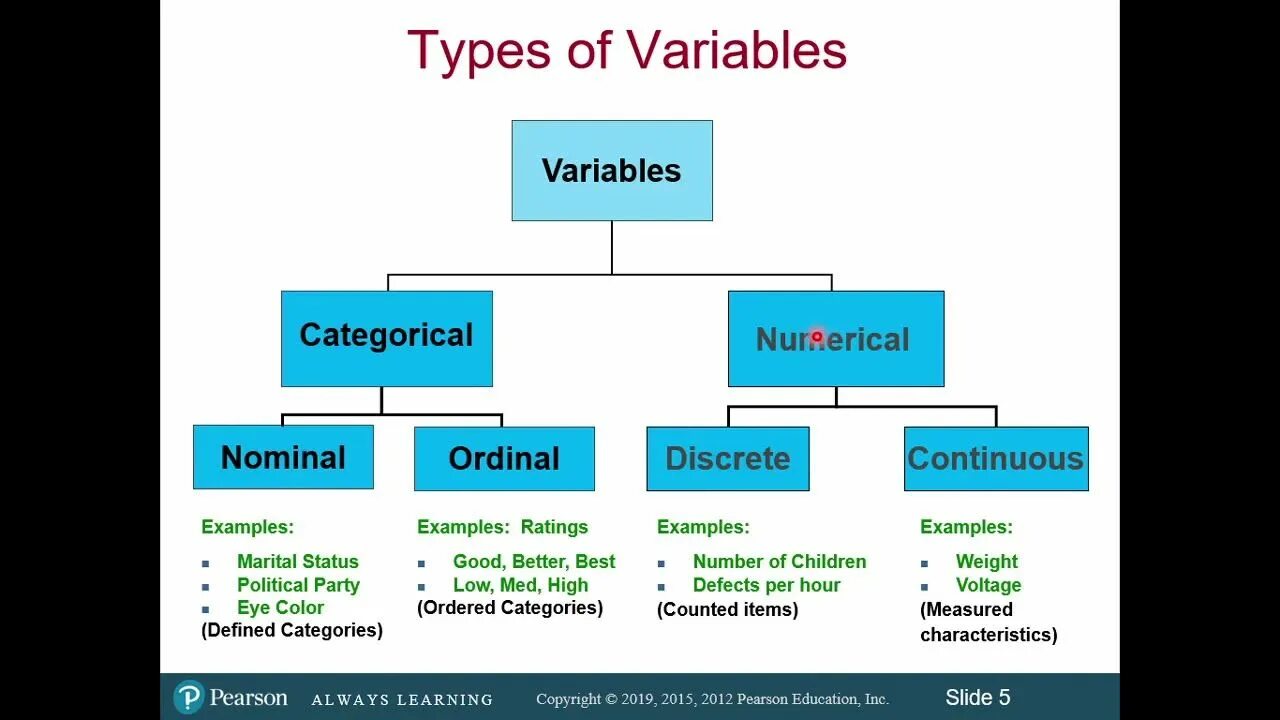 Wunused variable. Types of variables. nominal data. categorical variables. nominal variable.
