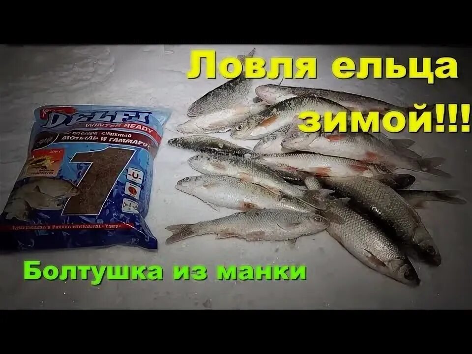 На что ловить ельца турниры * РУССКАЯ РЫБАЛКА