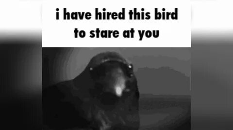 Stare at me перевод