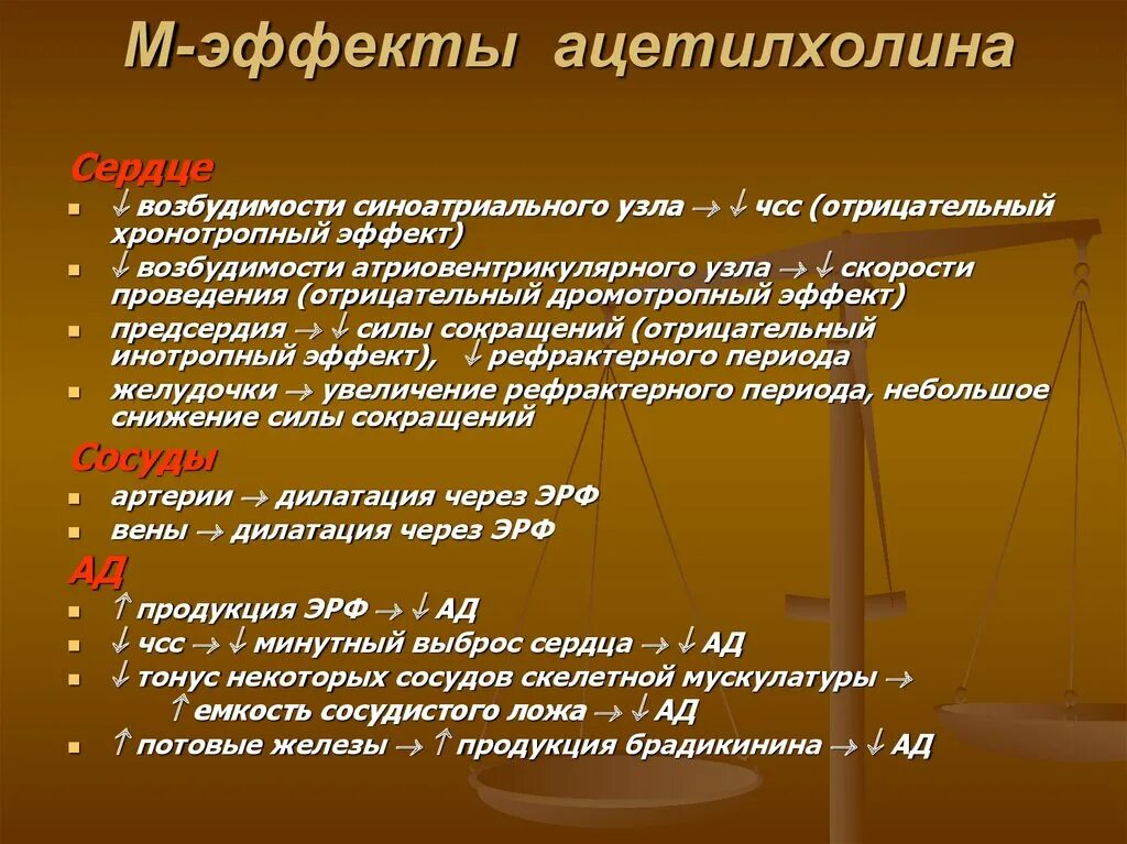 Отрицательный хронотропный эффект. Отрицательное хронотропное действие. Хронотропный дромотропный эффект. Механизм отрицательного хронотропного эффекта.. Ацетилхолин сердце сокращение