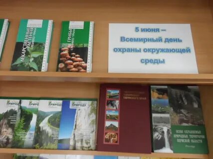 День охраны окружающей среды мероприятие в библиотеке