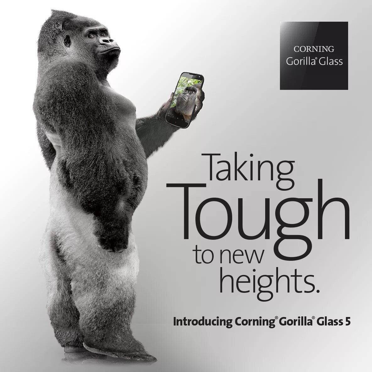 Corning gorilla victus. Защитное стекло Corning Gorilla Glass. Корнинг горилла Гласс. Стекло Corning Gorilla Glass 5. Защитное стекло Gorilla Glass 5.
