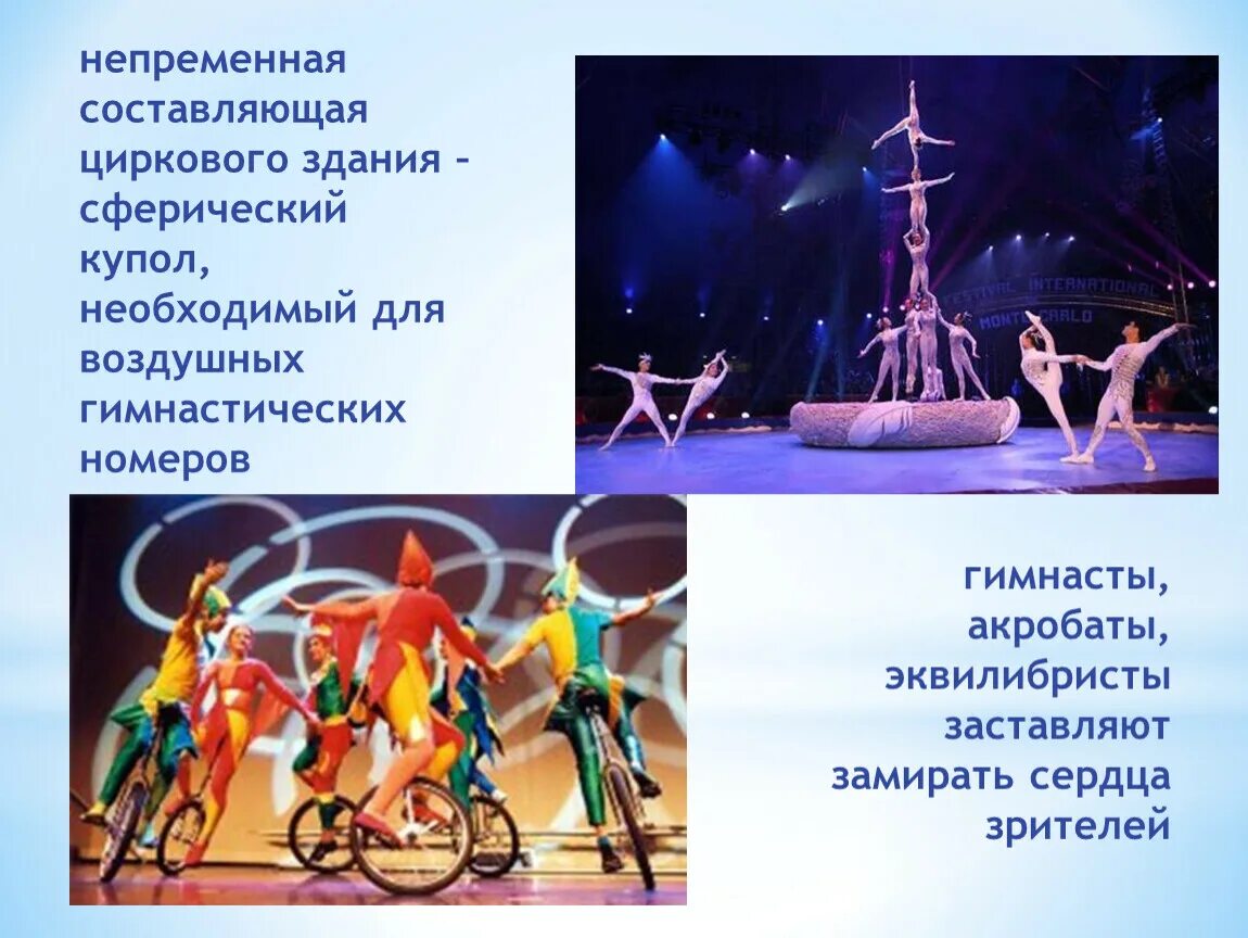 Составляющие цирка