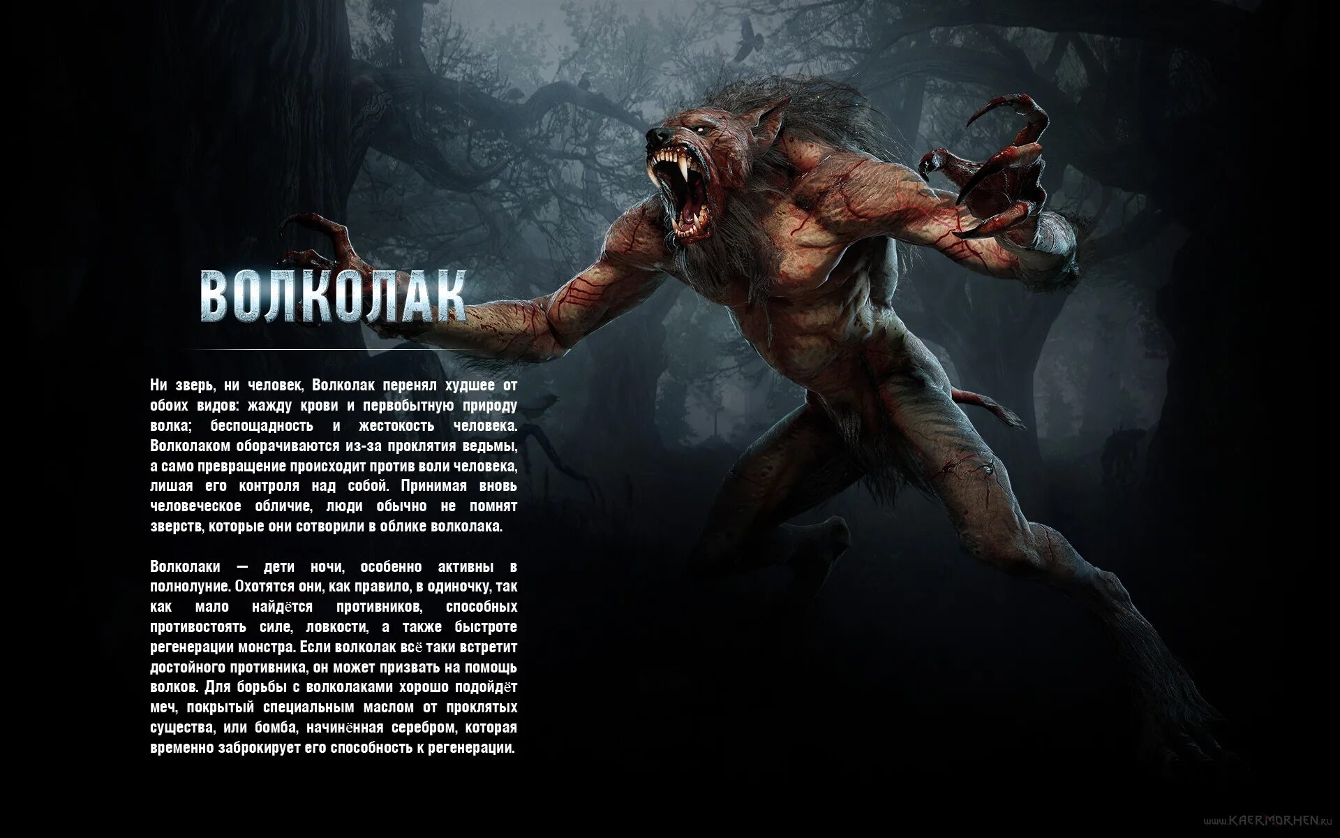 Волколак тексты. Волколак тексты. Та кто знает ведьмак 3. Волколак тексты. Ликантропия клиническая ликантропия.