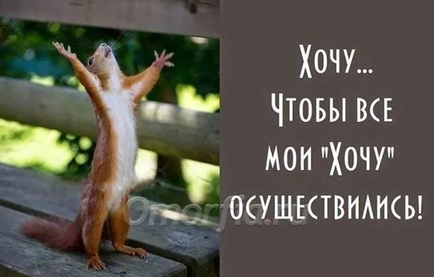 Почему не осуществились. Наконец-то пятница доброе утро. хочется всего и сразу. хочется все и сразу. хочу чтобы все мои хочу осуществились.