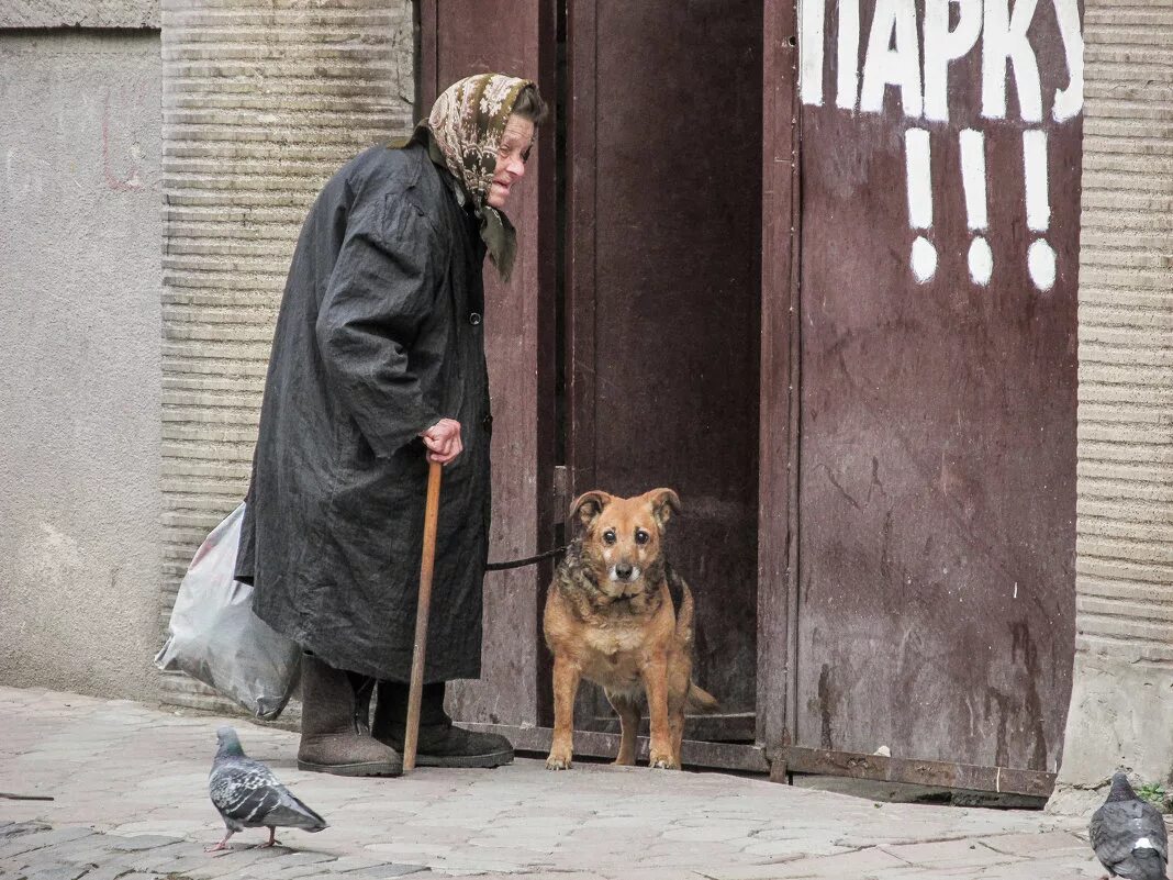 Пожилая женщина с собакой