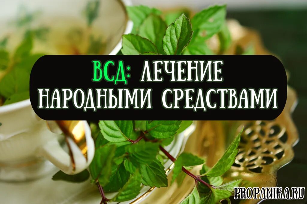 Вылечу всд. Народные средства от всд. травы при всд. чай при вегетососудистой дистонии. народные средства при вегетососудистой дистонии.
