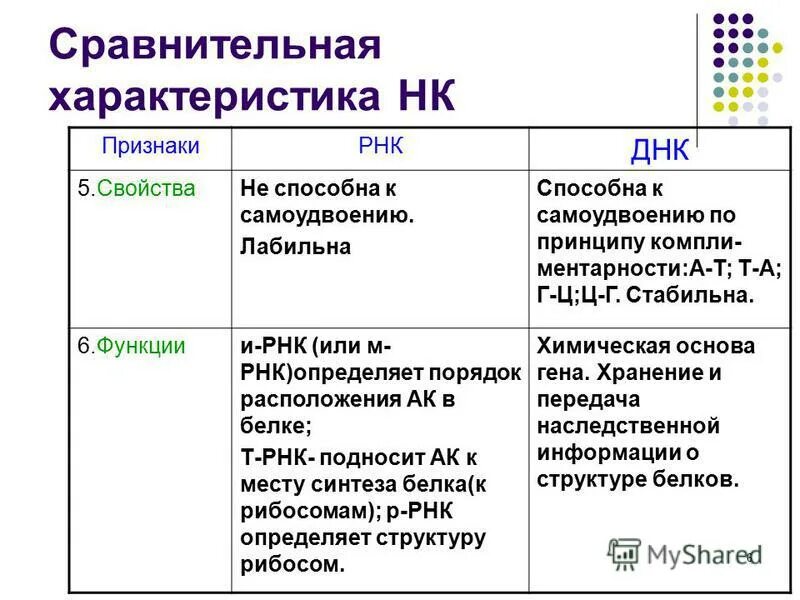 Сравнительная характеристика биополимеров. Сравнительная характеристика ДНК И белка. Биополимеры строение и функции. Сравнительная характеристика НК.