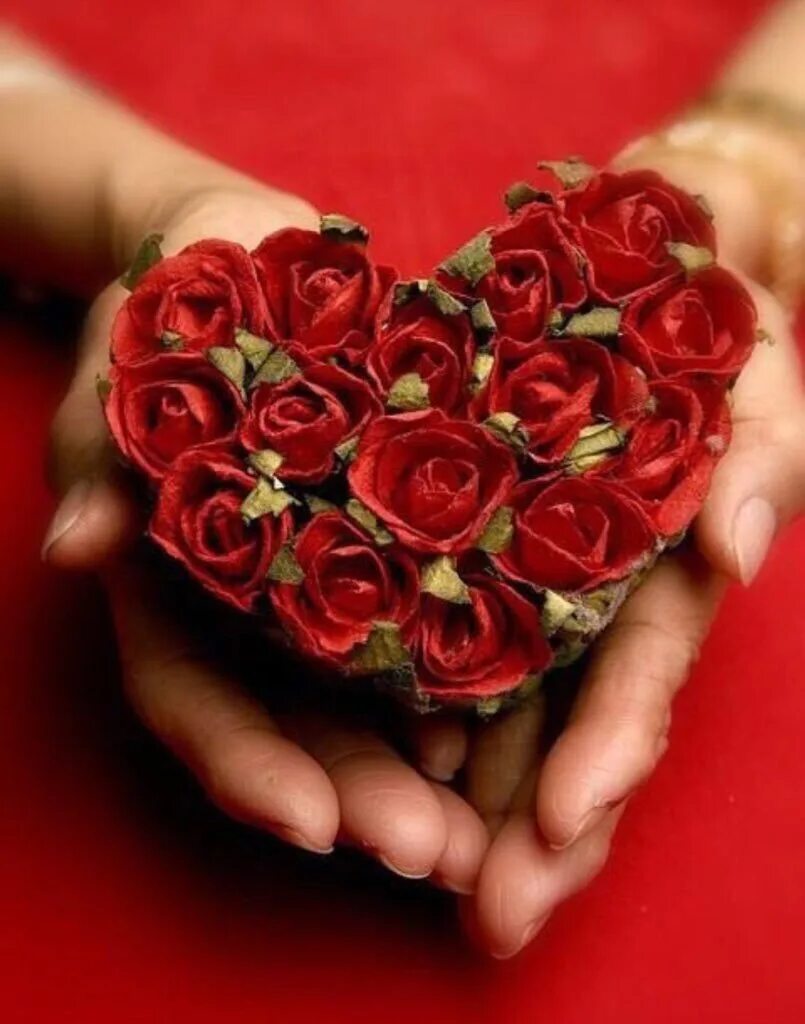 Сердце красиво цветы. Цветы для любимой женщины. Красивое сердце. Красивые валентинки. "цветы любви".