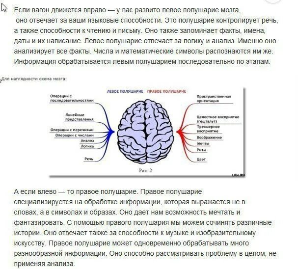 За что отвечает правое полушарие у женщин