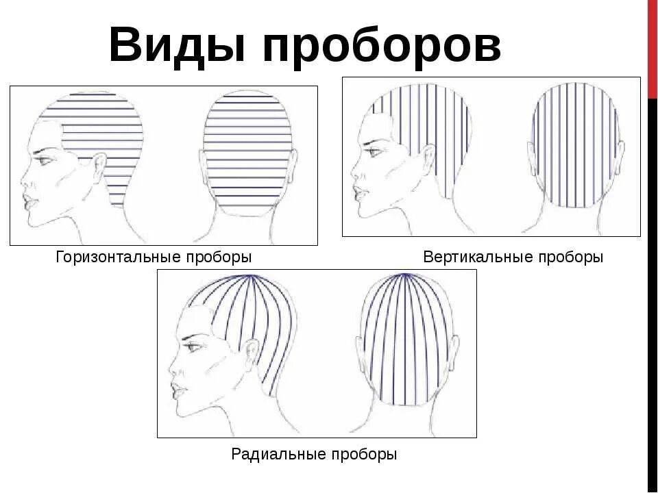 Затылок схема. Вертикальный пробор головы для парикмахеров схема. Схемы диагональных проборов для мелирования. Схема разделения для мелирования. Схемы мелирования радиальная.