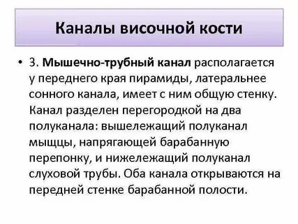 Мышечно трубный канал латынь