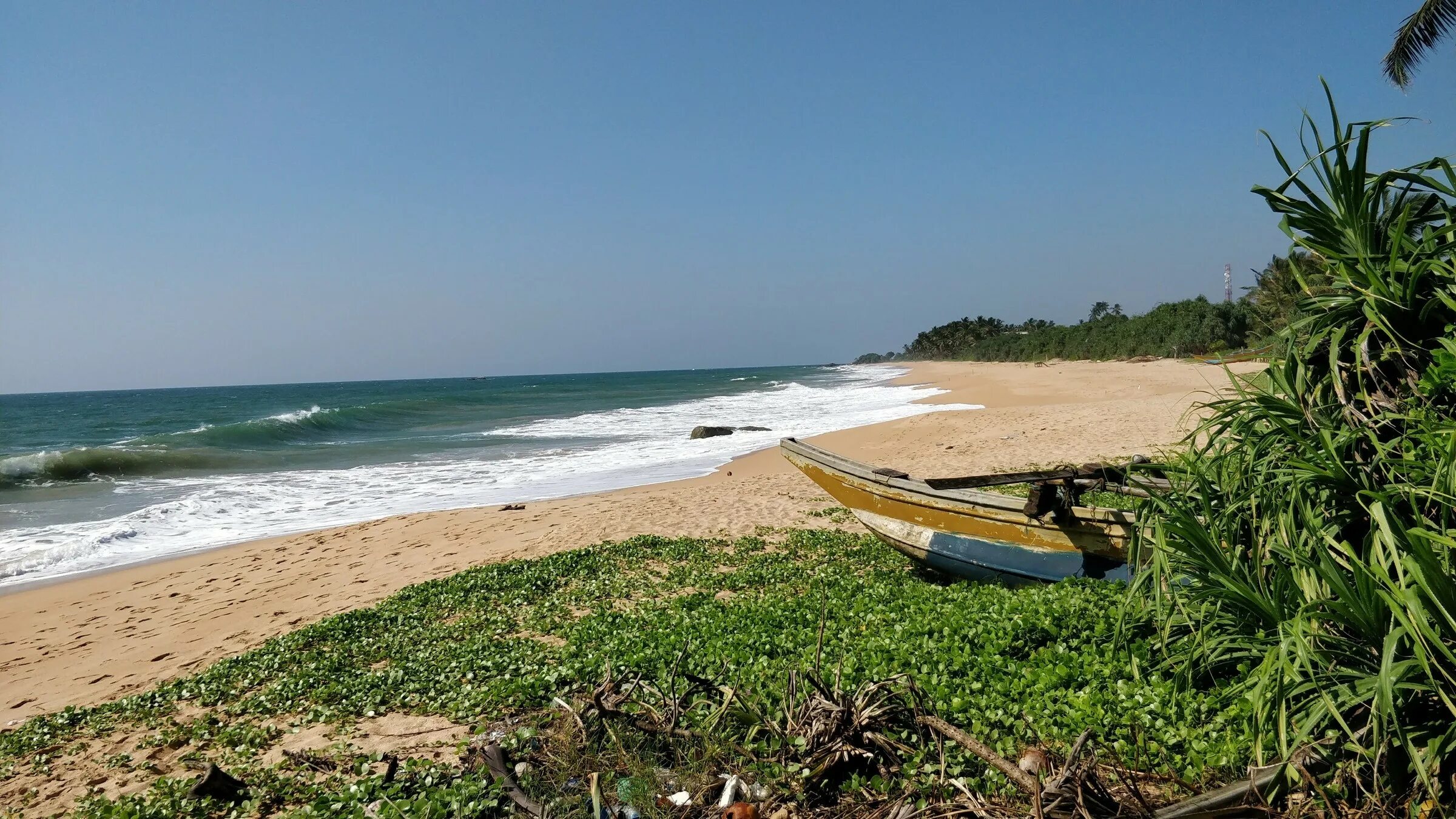 Пляж Бентота Шри Ланка. Пляж Индурува. Индурува Шри Ланка. Бентота пляж Морагалла.
