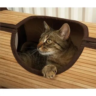 Бамбуковая кошка