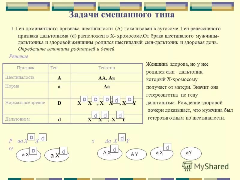 Признаки доминантного муж